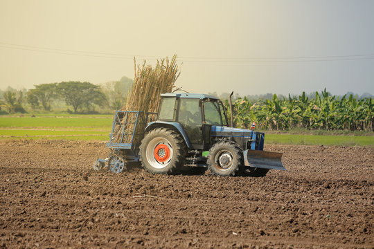Agricultural machinery, sugar cane.
