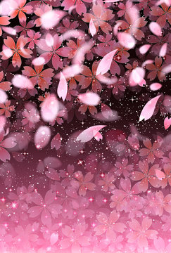 桜　花　風景　背景