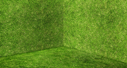 Empty green grass wall and floor corner studio room background,Mock up template for display or...