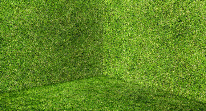Empty green grass wall and floor corner studio room background,Mock up template for display or montage of product or design,Online marketing media backdrop,ecology or recycle concept