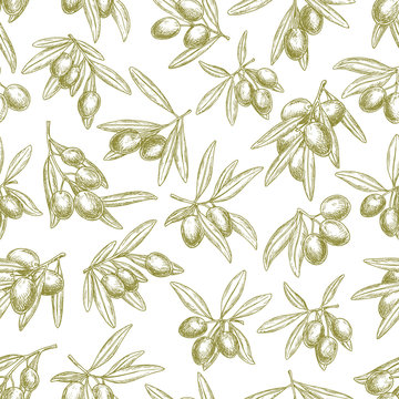Olives branches on olive vector seamless pattern