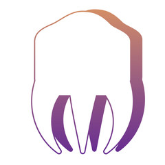 molar icon image