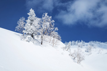 厳寒期の八甲田