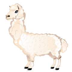 Cartoon Furry Alpaca