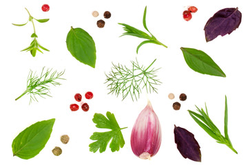 Fresh spices and herbs isolated on white background. Dill parsley basil thyme tartun peppercorns garlic. Top view
