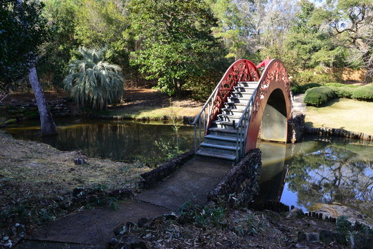 A Japanese Water Garden In Winter In Alabama.