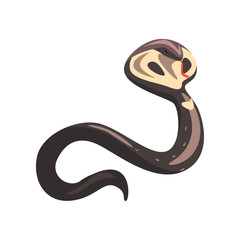 Cartoon naja or king cobra with tongue out. Longest venomous wild serpent with hood. Dangerous and venomous reptile. Wildlife concept. Colorful flat vector design