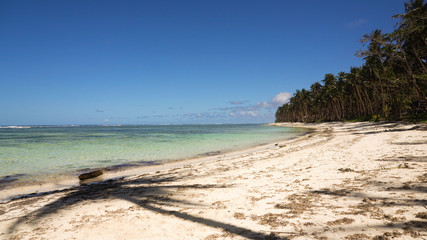 Beautiful tropical island with sand beach, palm trees.Seascape ocean and beautiful beach paradise, Siargao, Philippines. Tropical landscape: beach with palm trees. Travel concept.