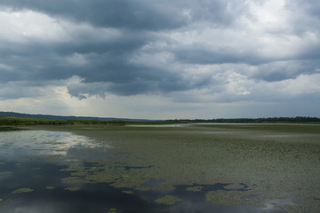 A wonderful summer landscape of the Dnipro River floodplain. Ukraine
