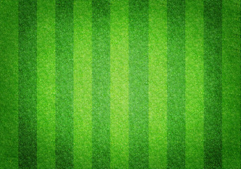 Soccer football grass field