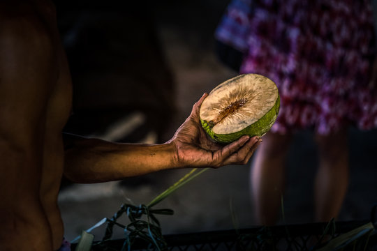 FRUIT TROPICAL
