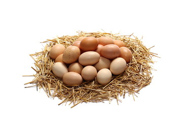 Eggs in straw nest isolated on white background