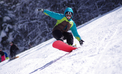 Fototapeta na wymiar Sport d'hiver - snowboard