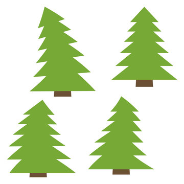 Set of four green pines on a white background. Vector illustration
