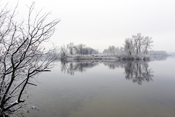 Calm riverbank with reeds and trees in the winter