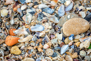 colorful stones on the beach