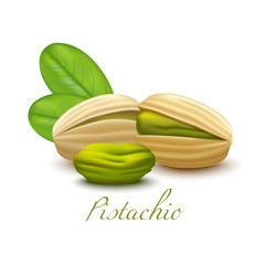 Pistachio Nuts and Leaves. Realistic Elements for Labels of Food Snacks Cosmetic Skin Care Product Design. Vector Isolated Illustration