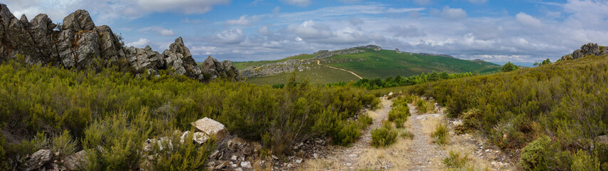 Fototapeta premium Abandoned track covered with bush