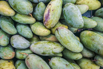 Heap of Fresh Thai Green Mangos are selling in supermarket