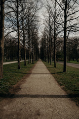 Alley in hanover