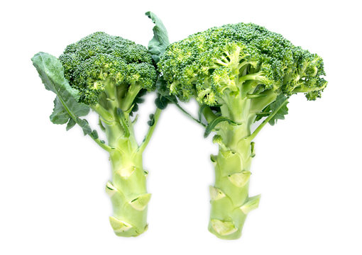 It is two fresh broccoli with leaf isolated on white background.Broccoli vegetables isolated