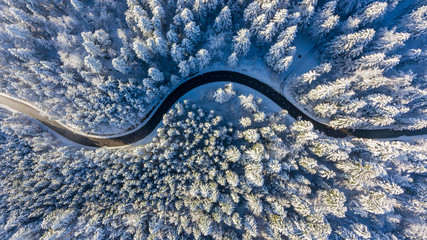 Winding road through a winter forest.