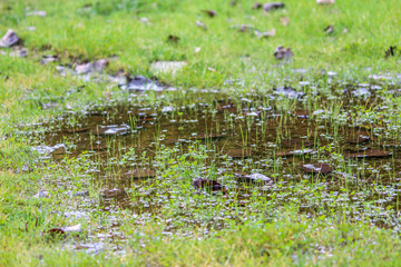 Penacova, Coimbra, Portugal