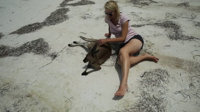 Happy caucasian woman sitting and caressing a kangaroos at Lucky Bay in Cape Le Grand National Park, Esperance, Western Australia. Female tourist enjoys one of the WA's most famous beach.