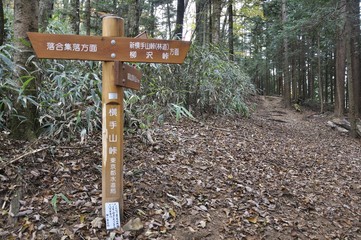 鶏冠山の横手山峠