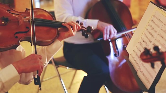 A Group of Musicians Playing Violin And Cello