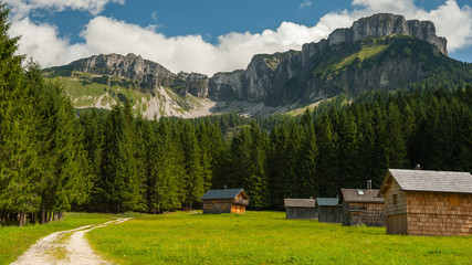 The austrian Rettenbachalm in summer season