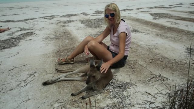 Happy caucasian woman with open arms near a Kangaroo lying at Lucky Bay in Cape Le Grand National Park, Esperance, Western Australia. Female tourist enjoys one of the WA's most famous beaches.