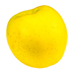 Ripe yellow apple isolated on white background. With clipping path