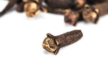 dry clove isolate on white background, close-up