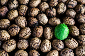 a lot of textured peeled walnuts and one green