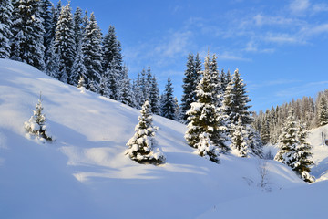 Obraz premium Winter forest in the Ural Mountains, Russia, Chelyabinsk region, Minyar. Pushkin's fairy tale