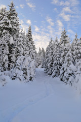 Winter forest in the Ural Mountains, Russia, Chelyabinsk region, Minyar. Pushkin's fairy tale