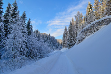 Winter forest in the Ural Mountains, Russia, Chelyabinsk region, Minyar. Pushkin's fairy tale