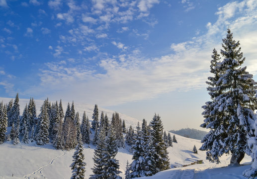 Winter forest in the Ural Mountains, Russia, Chelyabinsk region, Minyar. Pushkin's fairy tale