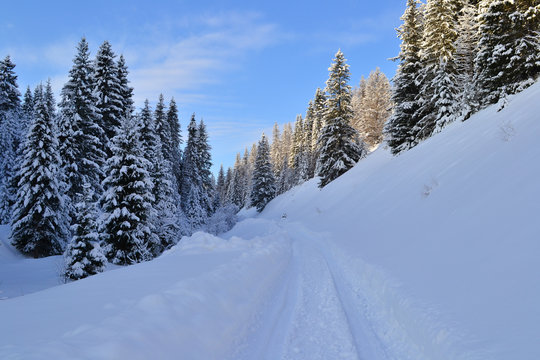 Winter forest in the Ural Mountains, Russia, Chelyabinsk region, Minyar. Pushkin's fairy tale