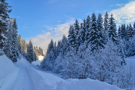 Winter forest in the Ural Mountains, Russia, Chelyabinsk region, Minyar. Pushkin's fairy tale