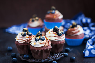 Homemade delicious chocolate cupcakes with fresh berries on top
