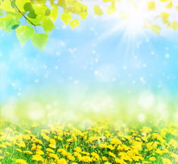 Beautiful spring pattern for design with blooming dandelions and birch leaves. Natural background. - 189328160