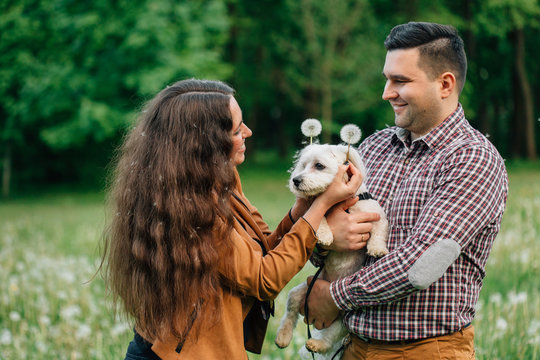 Young stylish happy couple in love having fun with little dog in dandelions field. Pretty girl with long hair and man playing with with maltese in park