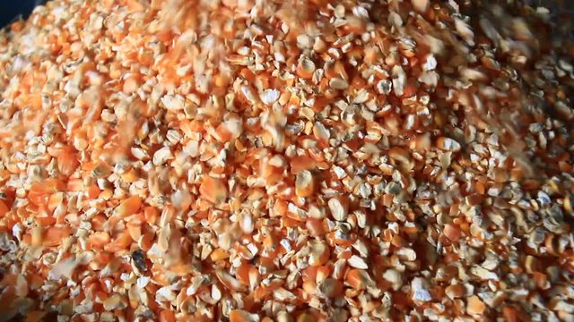 The machine is grinding corn into flour
