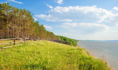 The steep bank of the Volga River and the pine forest