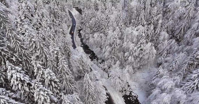Winter Road In The Mountains