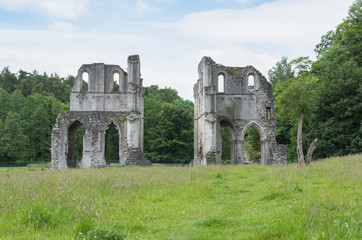 Fototapeta na wymiar The Ruins of Roche Abbey, Maltby, Rotherham, England