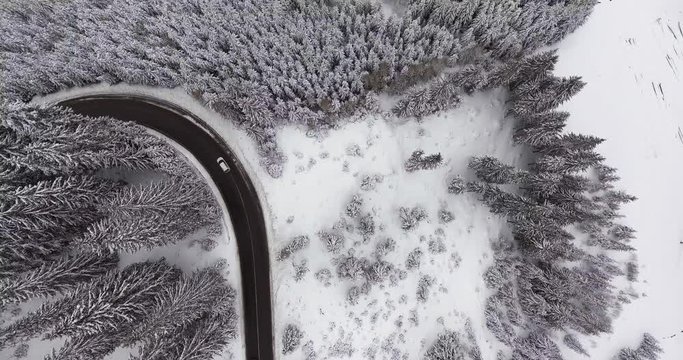 Cars On A Forest Road Top View Aerial