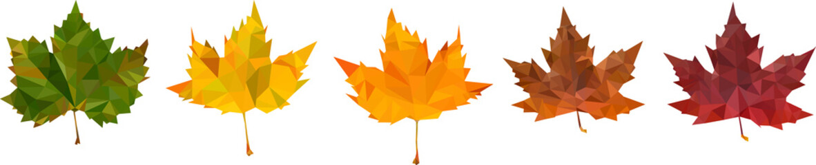 Low poly leaves, Art of autumn, Low poly fall, the passage of time, vectorgraphics
